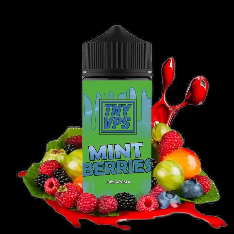 Tony Vapes Aroma Longfill - Mint Berries - 10ml in 100ml Flasche