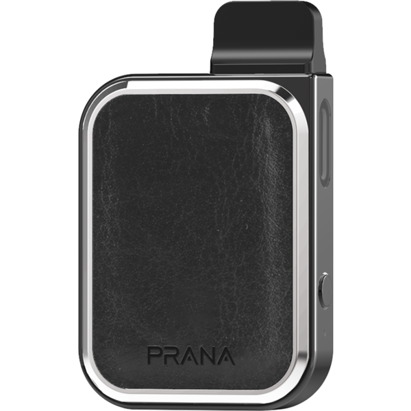 LostVape Prana Kit Leder Schwarz